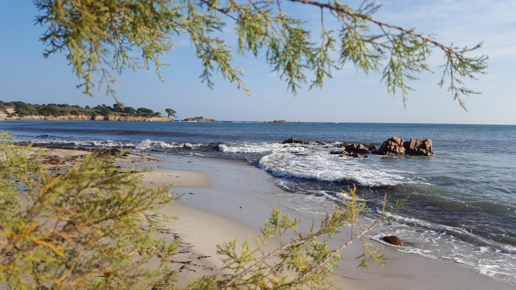 Locations Residence Rocca Rossa Palombaggia Classees 3 Etoiles Porto-Vecchio  Kültér fotó
