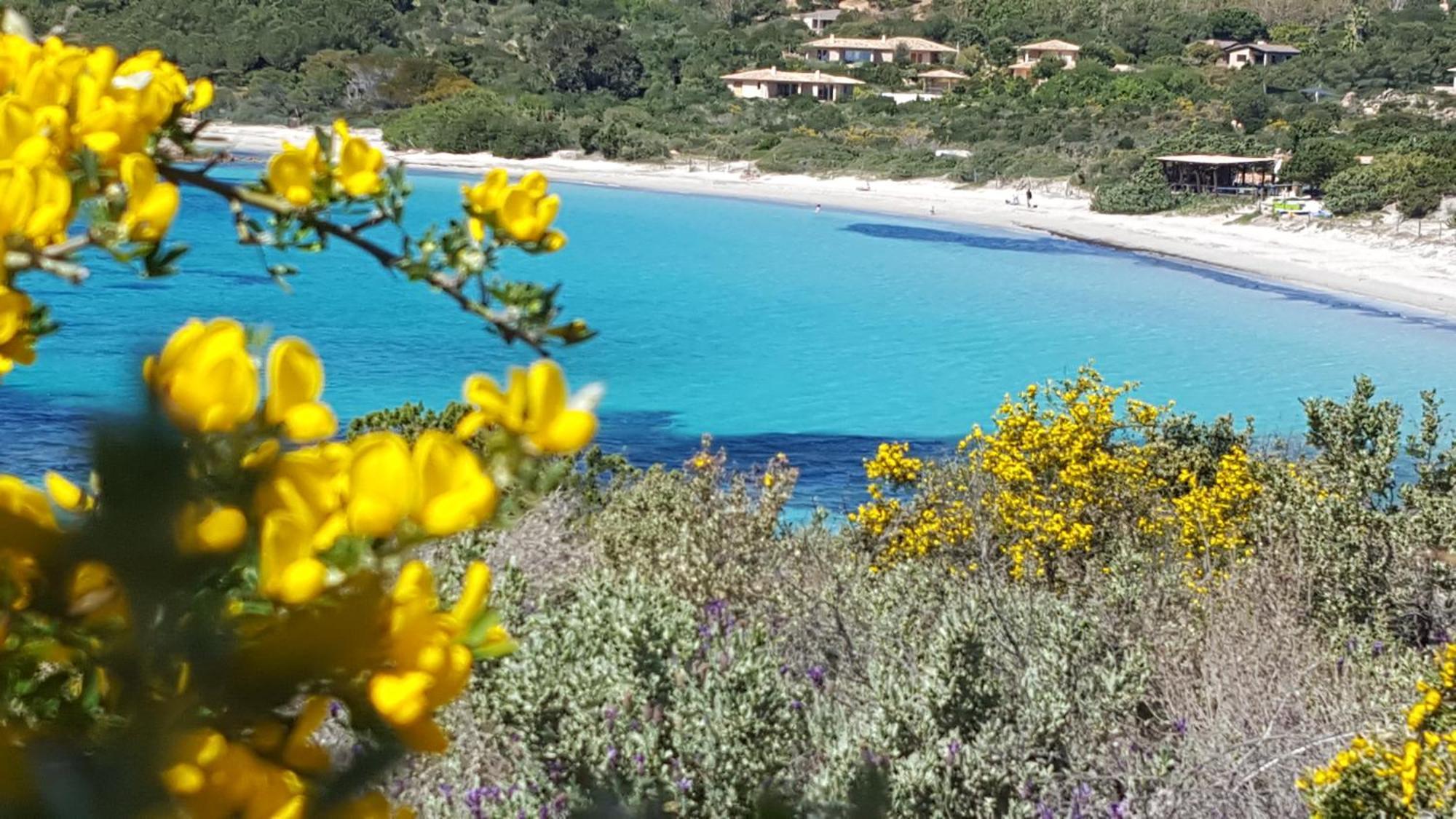 Locations Residence Rocca Rossa Palombaggia Classees 3 Etoiles Porto-Vecchio  Kültér fotó